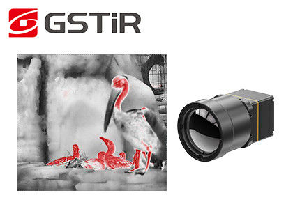 TWIN612 Thermal Imaging Module Sharp & Clear Images With ±2℃ Or ±2% Accuracy