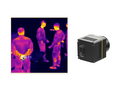 384x288 non raffreddato 17μM Thermal Imaging Camera per le applicazioni mediche