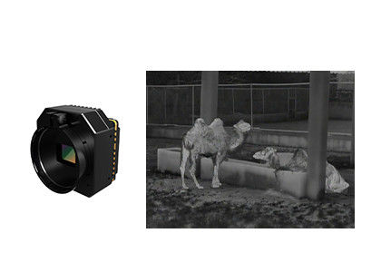 Camera di sicurezza termica ad alta sensibilità modulo infrarosso non raffreddato