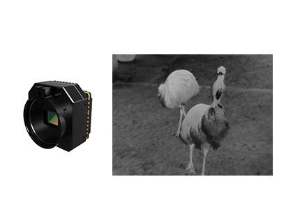 Modulo di telecamera di sicurezza termica a infrarossi non raffreddata con lenti multiple