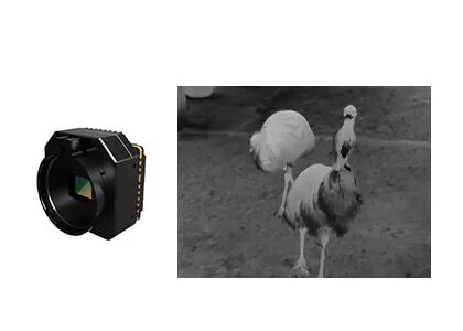Modulo di videocamera di monitoraggio della sicurezza termica a infrarossi non raffreddato con lente opzionale