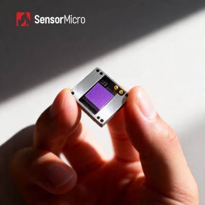 400x300 Risoluzione 12μm Pixel Pitch Vanadium Oxide Non raffreddato Detector Infrarosso Sensore LWIR